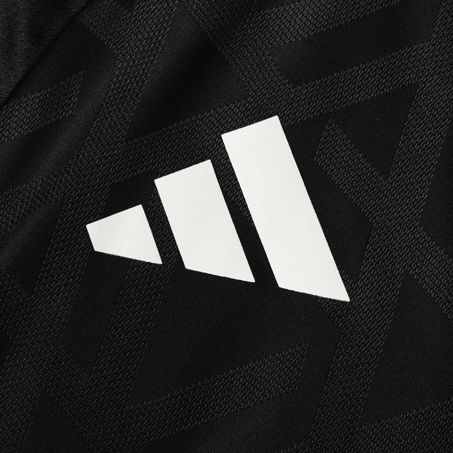 Germany 2024-2025 Special Shirt