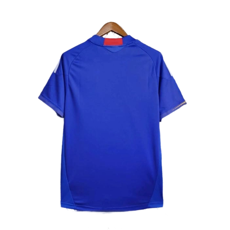 Japan 2010 Home Shirt