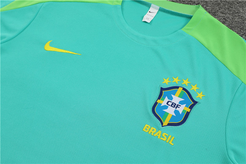 Brazil Turquoise Training Set