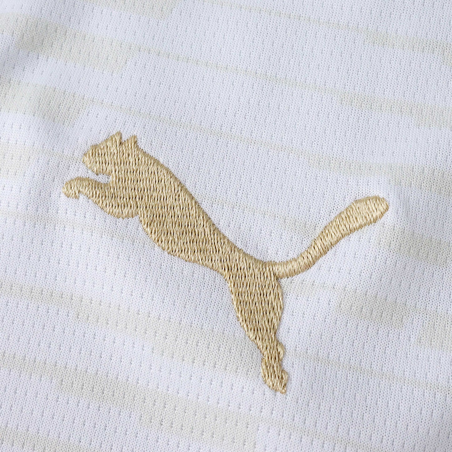 PSV 2025-2026 Third Shirt