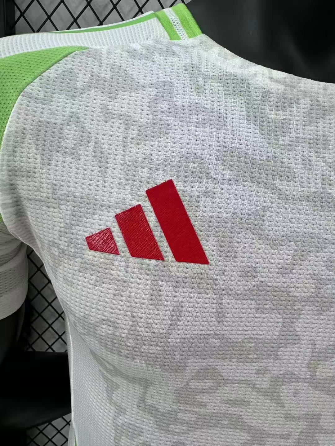 Algeria 2024-2025 Away Shirt