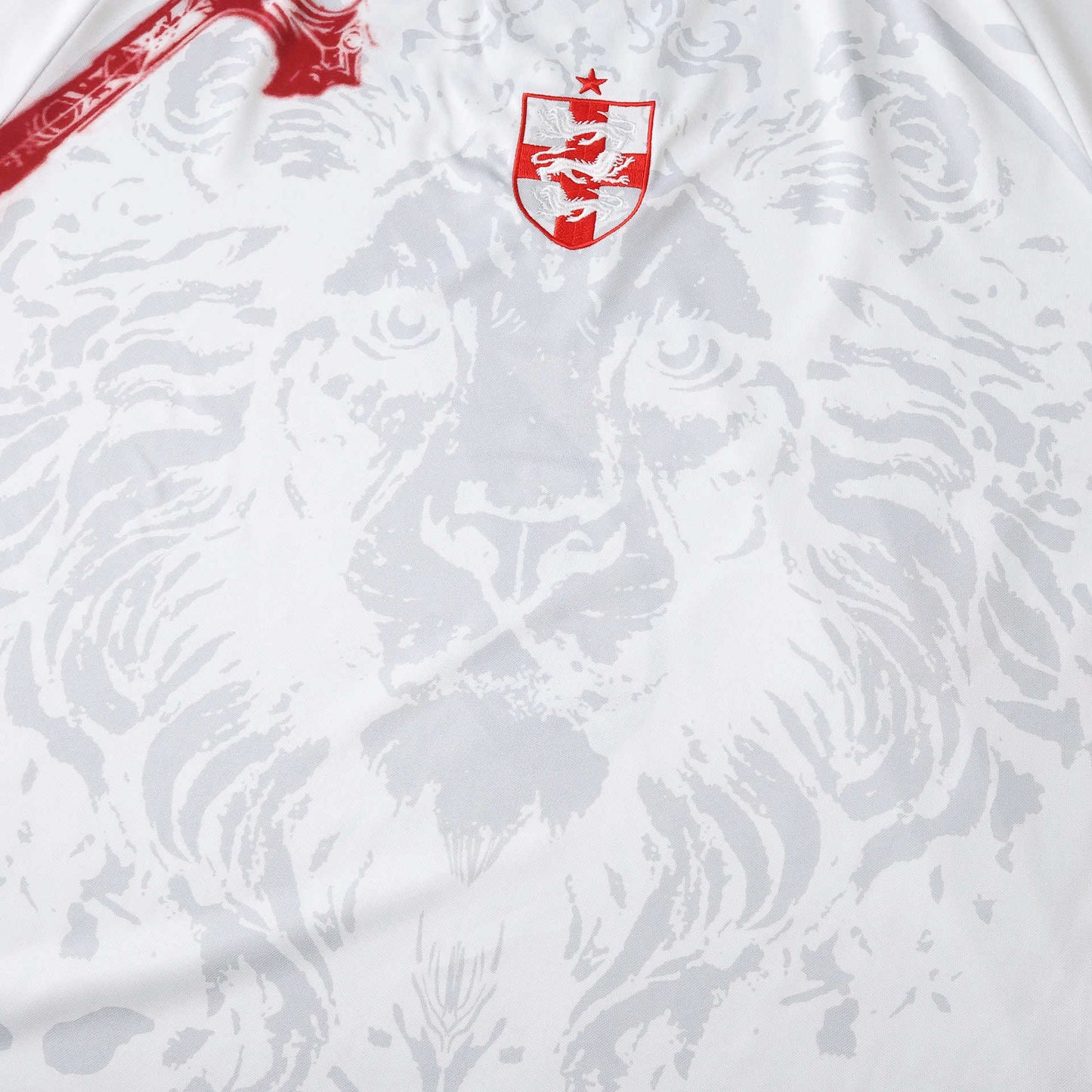 England 2026 Special Shirt