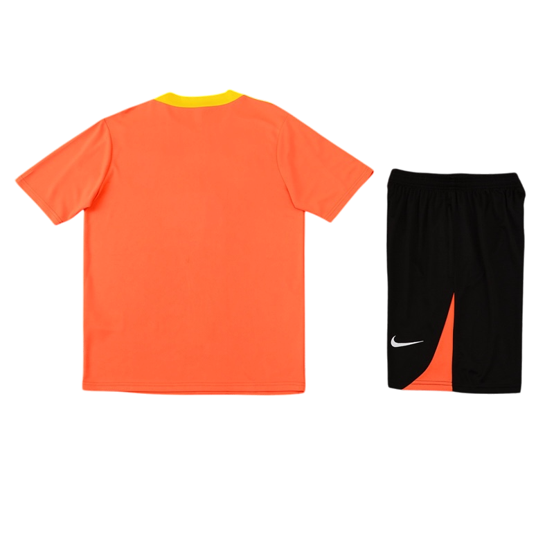 Brazil Orange 2026 Training Set